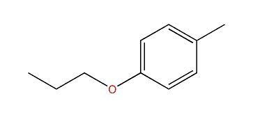 1-Methyl-4-propoxybenzene